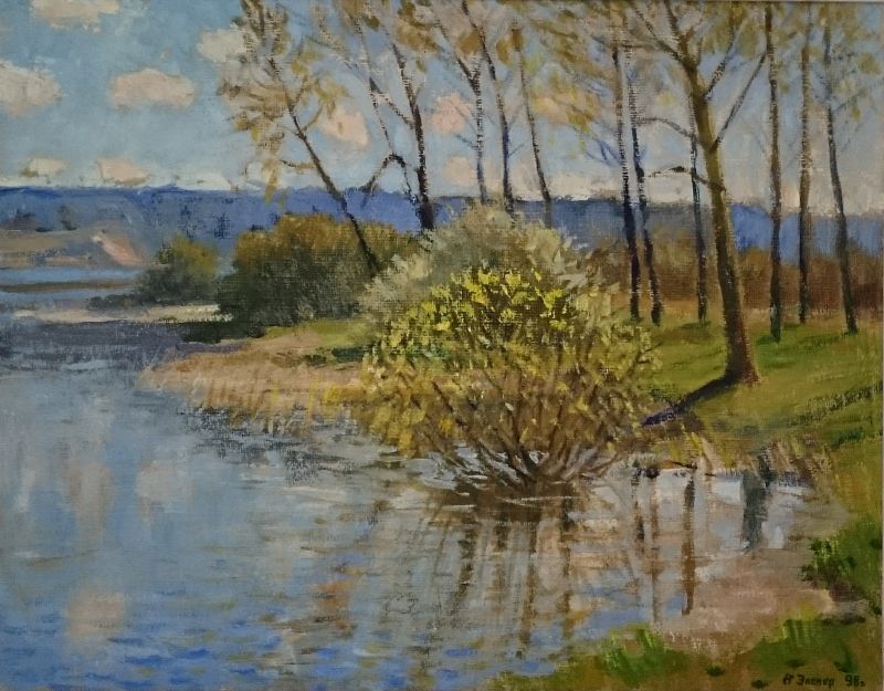 Верба цветет