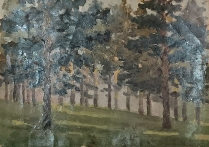 Сосны на берегу Исети